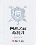 网游之暴力刺客