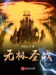 无极圣石是什么