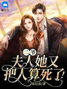 夫人又去摆摊算命了免费阅读