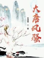 大唐风流历史