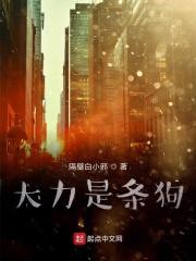大力是不是