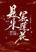 重生后公主殿下是朵黑莲花笔趣阁无弹窗最新章节