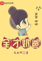 全才奶爸顶点