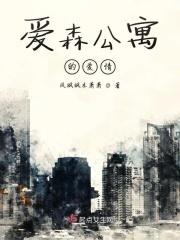 爱森公寓我是谜解析