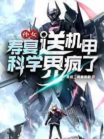 硬核机甲设定集