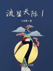 流星撒满天际
