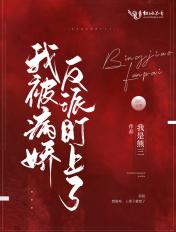 我被病娇男配盯住了txt阅读