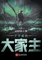 了不起的D