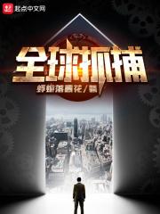 全球抓捕开局获得怪盗基德模板陈枫