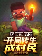 我的世界之开局转生成村民评价如何