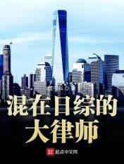 日综里的大律师