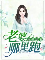 溺宠甜妻老公太给力免费阅读