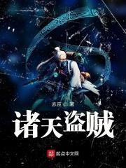 诸天盗贼系统有声