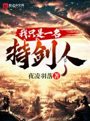 我只是一名持剑人 夜凌羽落