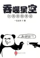 吞噬星空开局签到帝经作者一包薯条