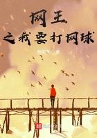 网王之我要打网球小