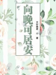 向晚是啥