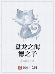 盘龙之成哈德利txt