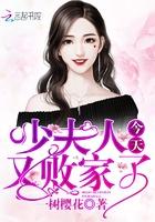 少夫人今天又败家了TXT