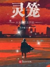 灵笼光影之主的台词