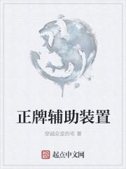 辅助上牌是什么意思