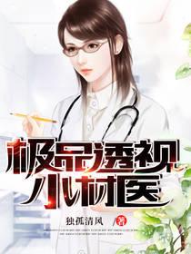 极品透视小村医免费