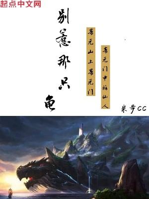 别惹那只龟百度百科境界