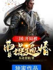 三国开局成为曹操的首席谋士免费阅读