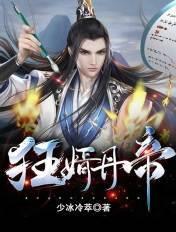 狂傲丹婿
