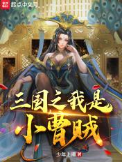 三国之我是曹安民