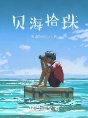 珠海拾贝什么意思