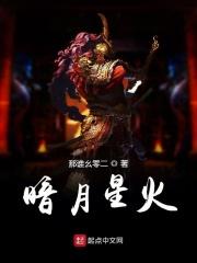 暗月火酒价格