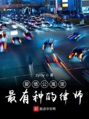 爱情公寓之律师