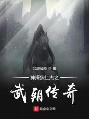 穿越狄仁杰之武朝传奇