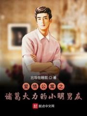 爱情公寓之我是诸葛大力
