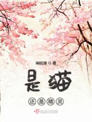 是猫不是猫