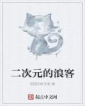 二次元味