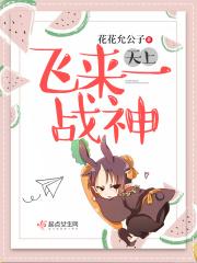 天上飞有什么生肖