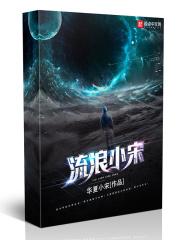 宋小宝流浪歌
