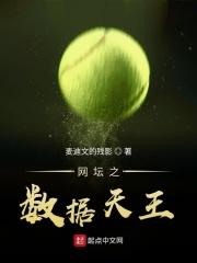 网坛四天王