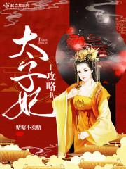 太子妃攻略手册南平晚西