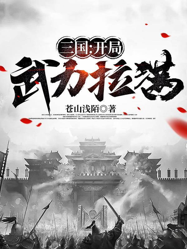 三国开局武力拉满刘煜的