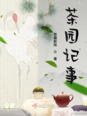万家灯火云雾茶花糖
