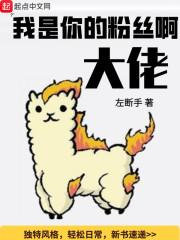 我是你的粉丝我该如何称呼你