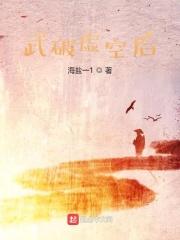 武碎虚空一样设定