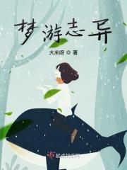 梦游原文及翻译