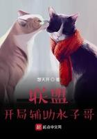 英雄联盟之辅助的