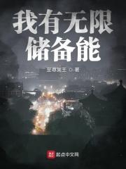 我拥有无限余额无限流