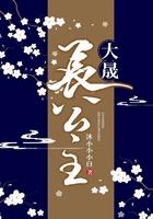 大晟国是历史什么时期的国家