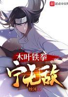 木叶铁拳宁次